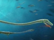 Палеонтологи обнаружили беременного предка динозавра