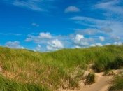 Погода на сегодня: на территории Украины будет ясно и жарко 