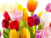 Лучшие поздравления с днем рождения 14 мая в прозе