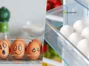 Как хранить яйца