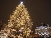 Во Львове открыли главную елку (Видео)