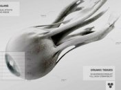 С помощью 3D-биопринтера напечатают искусственный глаз