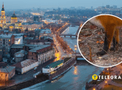 Лисиця у Харкові