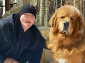 Менеджер Лебедева: Все зависит от Усика