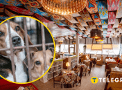 Узбекский ресторан