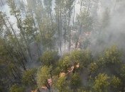 Пожары уничтожили около 5% Чернобыльского заповедника
