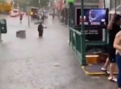 Затопило за пару часов: ливни принесли в Нью-Йорк настоящий потоп (фото, видео)