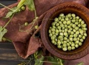 Посадка гороха 19 мая считается очень удачной