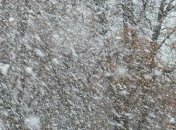 Погода на 23 лютого: прогнозують вітер і сніг