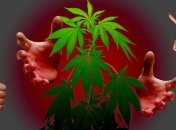 В Україні легалізували медичний канабіс? Роз'яснюємо, що не так