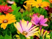 Какие завтра праздники: традиции и приметы на 13 июля