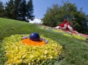 Этно-цветники появятся в Киеве 