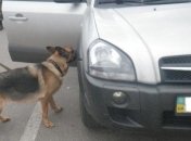 На въезде в Крым задержали авто с боеприпасами