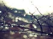 Прогноз погоды в Украине на сегодня: дожди с мокрым снегом на западе