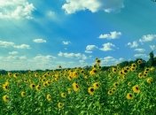 12 августа - праздник, что категорически запрещено делать, главные приметы