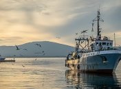 Болгария изменила правила въезда для украинцев 