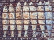 Мясо, рыба, яйца в питании взрослых и детей