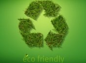 "Органические" парадоксы Румынии