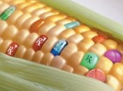 Ученые рассказали о воздействии ГМО на организм человека