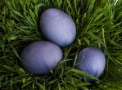 Натуральные красители для синих пасхальных яиц