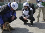 ОБСЕ впервые получила доступ к части границы с РФ, неподконтрольной Украине