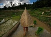 Все прелести повседневной жизни в Непале (Фото)
