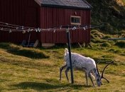 Как проходит самый длинный день на краю света (Фото)