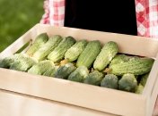 Многие, из-за незнаний, снижают устойчивость рассады к внешним условиям