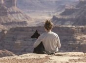 Канистерапия: как собака лечит человека