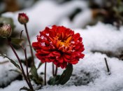 День Аввакума в 2023 году отмечается 2 декабря (ранее 15 декабря)