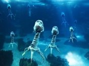 Вирусы в океане могут помочь ученым