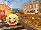 Мемы об осени и похолодании