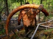 Золотая лихорадка: жители Якутии в поисках сокровищ (Фото) 