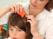 Израиль: вшивых детей запретили отстранять от занятий