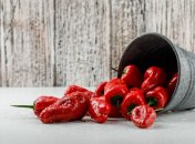 Квашеный перец – отличная закуска на зиму