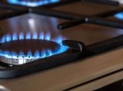 Макарова заявила, что цена на газ полностью отвечает требованиям программы МВФ