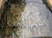 В Китае ученые обнаружили шокирующую находку