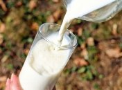 Названо еще одно свойство пользы молочных продуктов