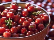 В ЕС могут обложить пошлиной клюкву из США