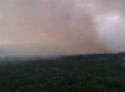 Появилось видео нового пожара в зоне отчуждения