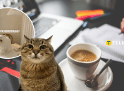 Мемы о понедельнике