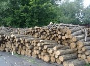 Украина запретит вывоз древесного топлива, чтобы обеспечить дровами людей и войска