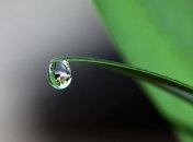 Какой праздник 29 апреля: народные приметы и запреты