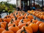 Как правильно хранить тыкву