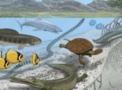 Ученые объяснили гигантизм жителей древнего "Сахарского моря"