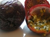 Выращиваем маракуйю на огороде