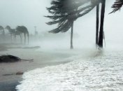 "Тенденция есть, и она реальна": ураганы в будущем станут сильнее