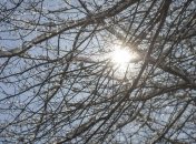 Прогноз погоды в Украине на 5 февраля: резко похолодает