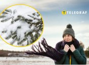 Прогноз погоды на зиму 2026 в Украине