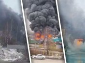 Огонь виден со всего Питера: в Ленинградской области РФ вспыхнул мощнейший пожар (видео)